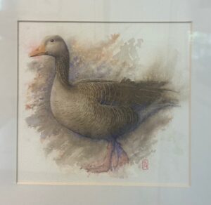 Akvarel – Grågås – Steen Malmberg
