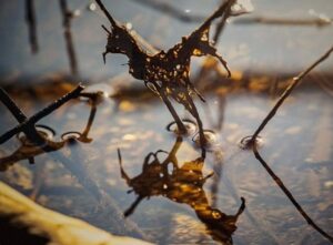 Kunstfotograf Jeppe Sabel Fotos trykt på let metalplade 01