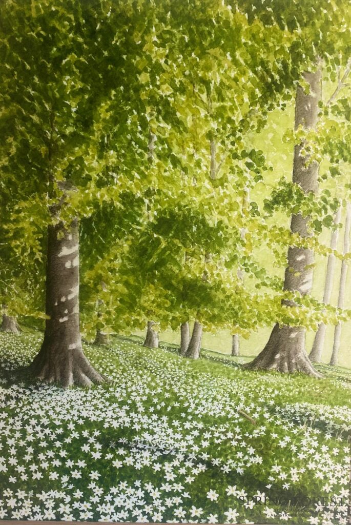 Plakat med anemoner under bøgeskoven – Steen Malmberg