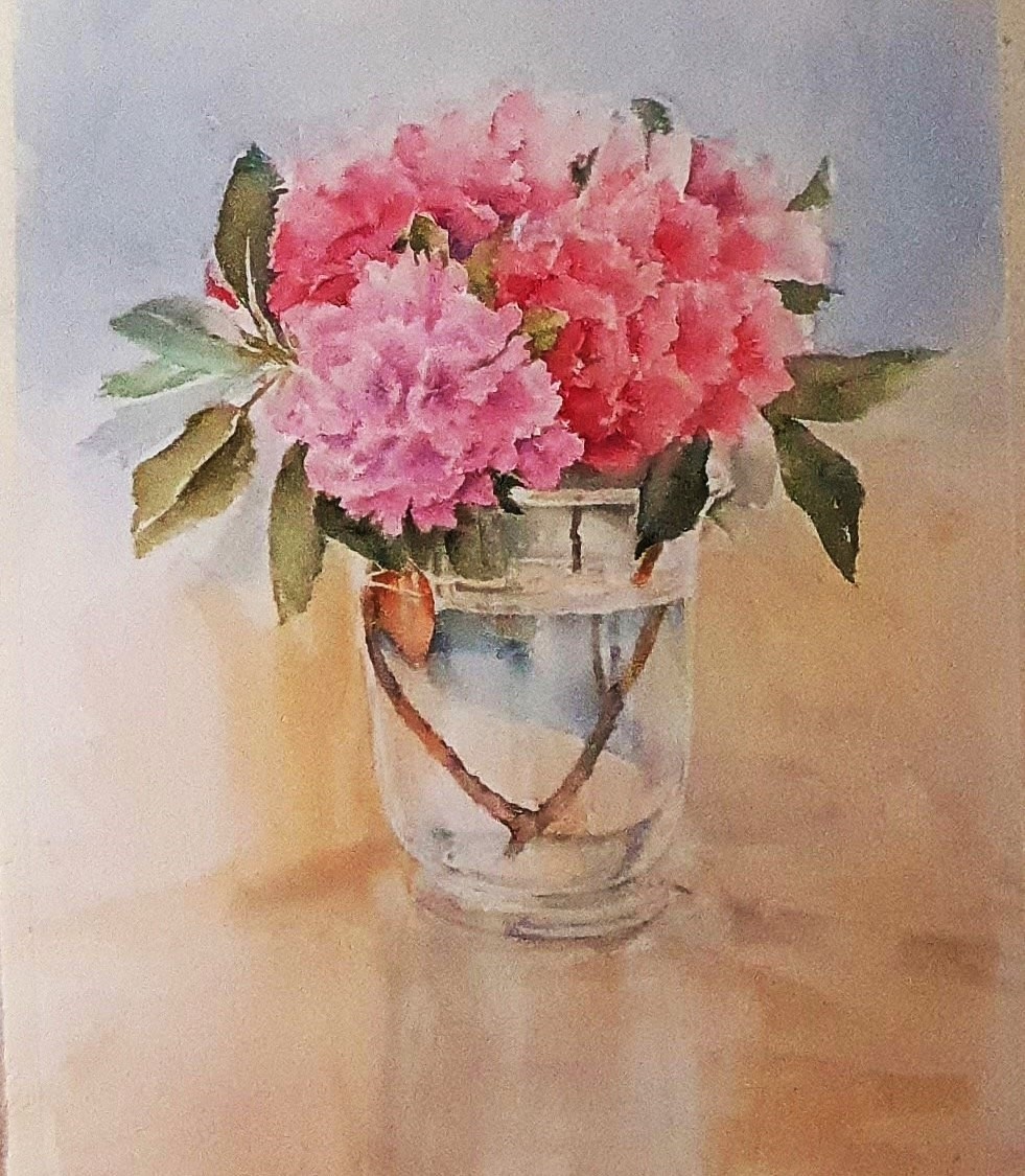 Rhododendron